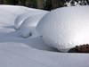Civetta - baba' di neve